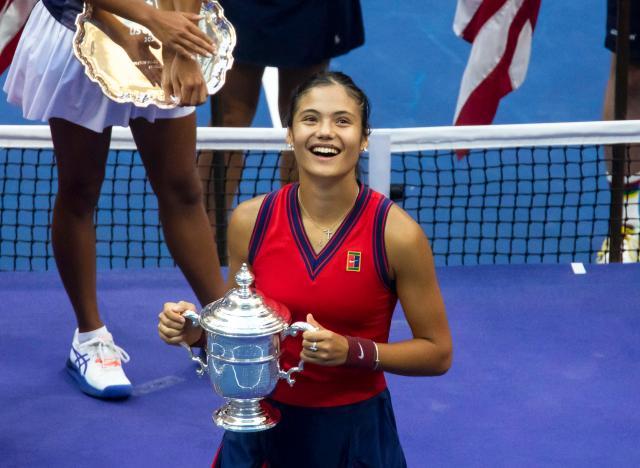 以应对各种 以应对各种